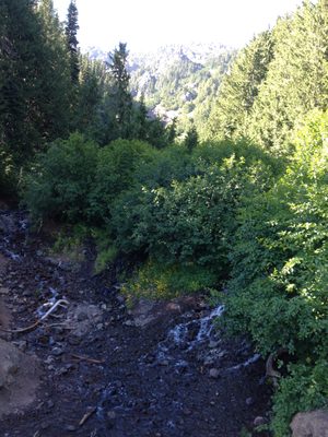 This is looking up a valley which has a trail going up,...